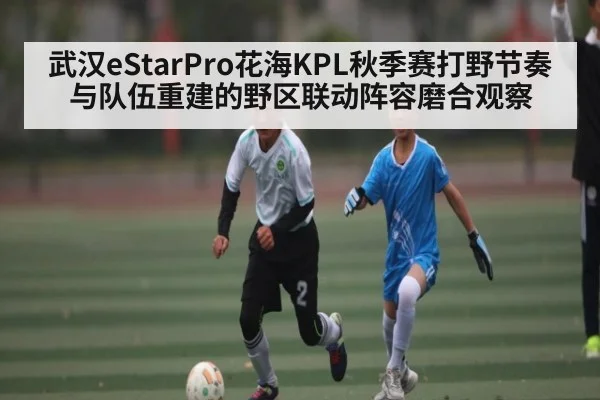 武汉eStarPro花海KPL秋季赛打野节奏与队伍重建的野区联动阵容磨合观察
