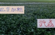 bob半岛体育官方网站-武磊跟巴尔加斯换球衣！球王依然宝刀不老
